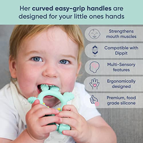 Играчки за никнене на млечни зъби Bibado Baby - Силиконов прорезыватель с Динозавром, Детски Дъвчащи прорезыватели за успокояване на венците и смучене - Помагат при само