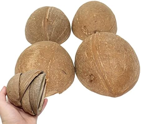 Bonka Bird Toys 1031 Pk4 Половината Черупки От Кокосови Орехи Естествена Храна За Дъвчене Вечерни Изкуство, Занаят Папагал Ара Африкански
