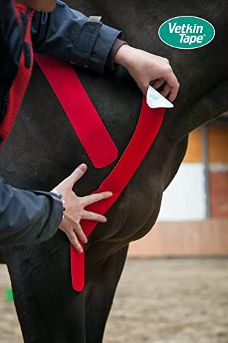 Ветеринарна кинезиологическая лента VETKIN VetkinTape® Червена | Кинезиологическая лента за коне и Кучета | Кинезиотейп за коне