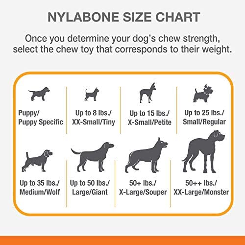 Стартов комплект за малки кученца Nylabone с жевательными играчки - Набор от играчки за малки кученца и дъвченето на лакомствата